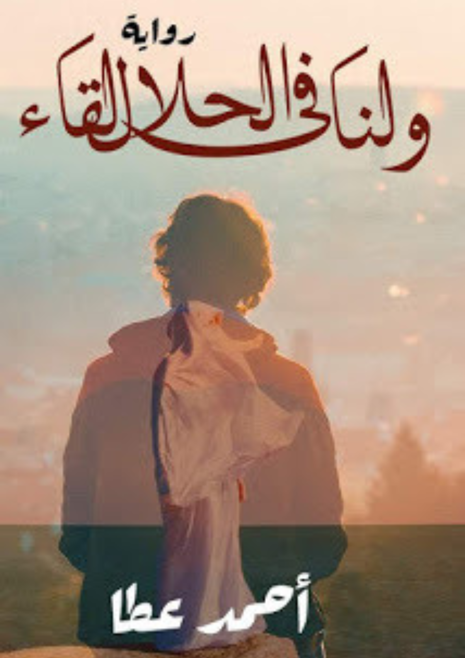 رواية ولنا في الحلال لقاء