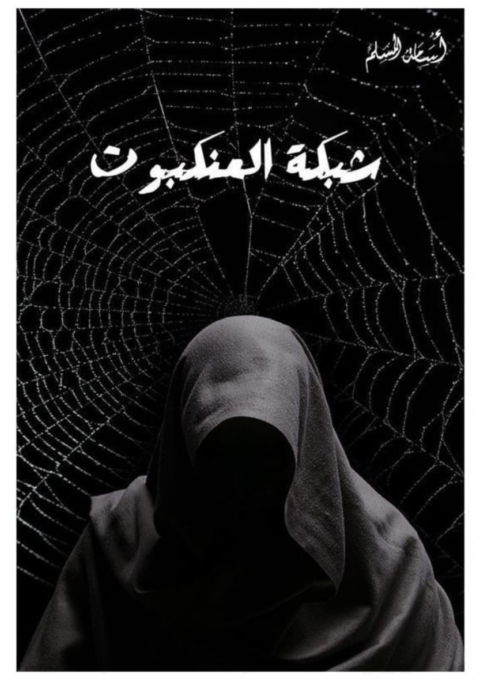 رواية شبكة العنكبوت