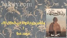 رواية ولنا في الحلال لقاء